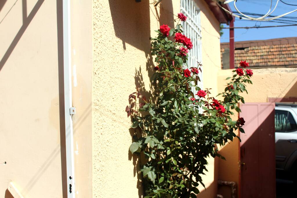 patio