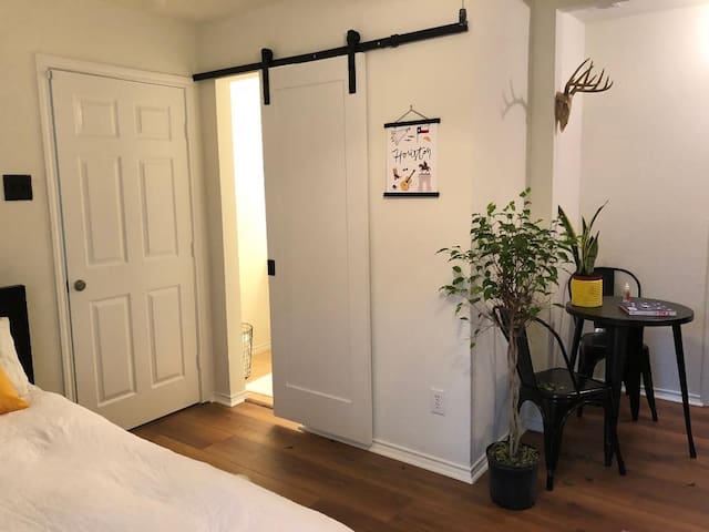 Texas Themed Studio Apt. in Museum District