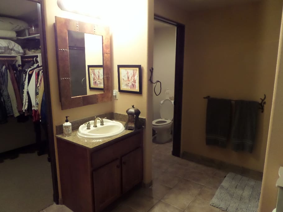 Junior suite bathroom with shower and tub. Walk in closet.