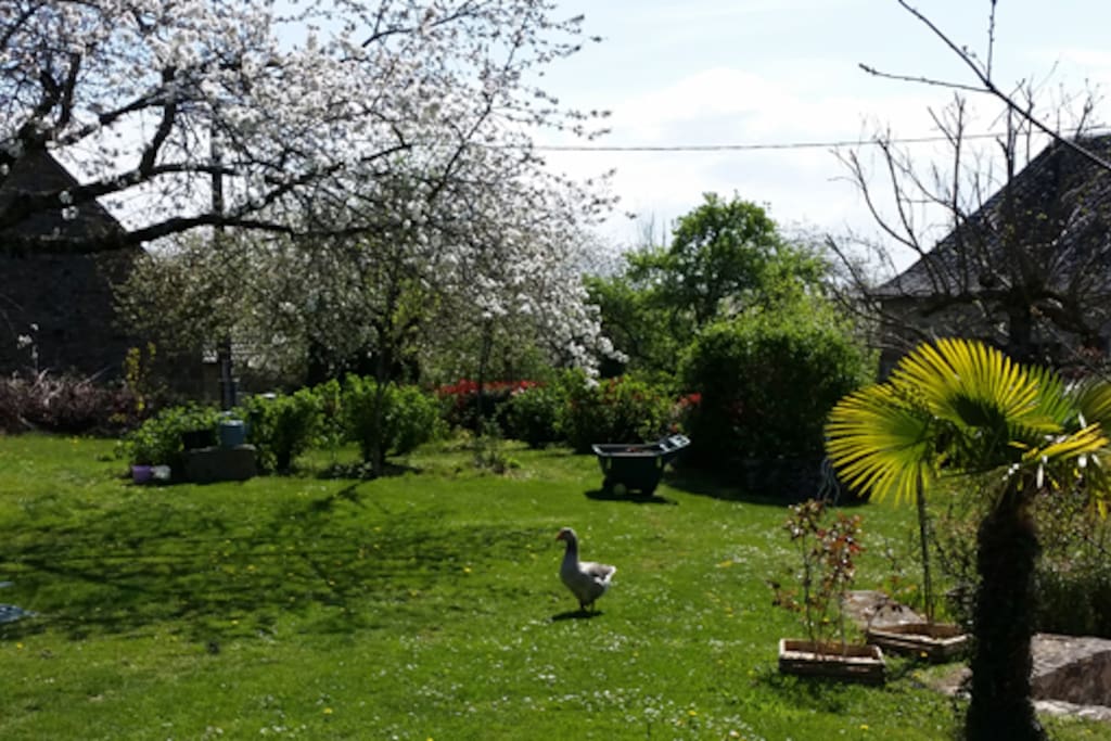 Jardin