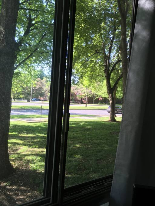 La vue dès votre chambre