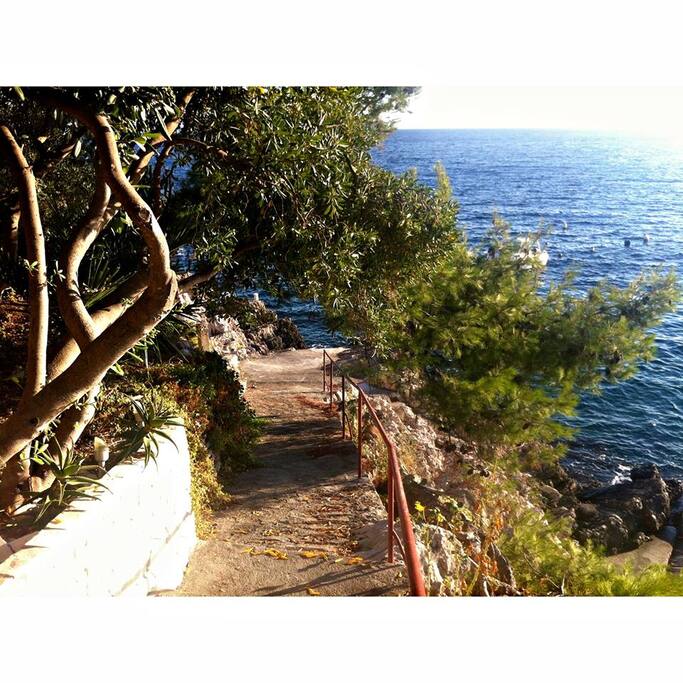 Beach / waterfront