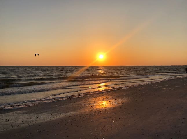 Airbnb Fort Myers Beach Ferienwohnungen Unterkunfte