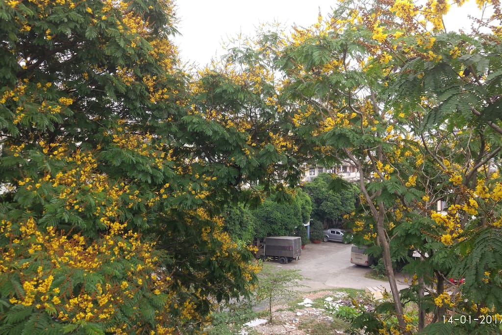 The view from the balcony in the spring