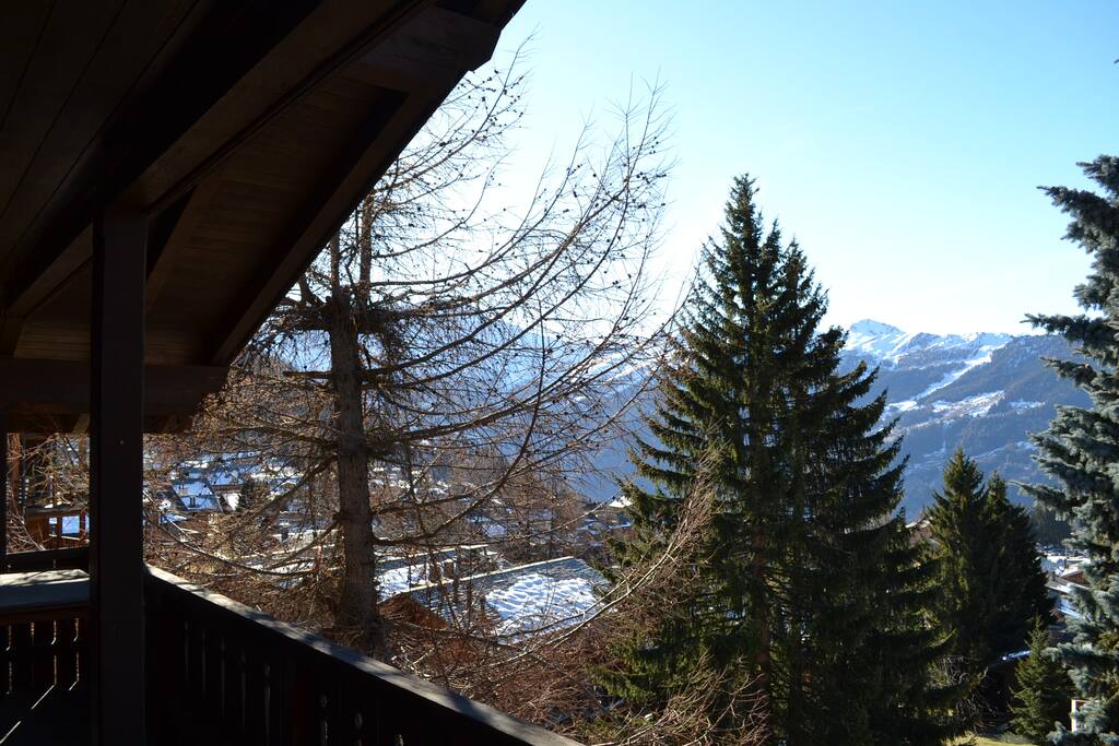 The view