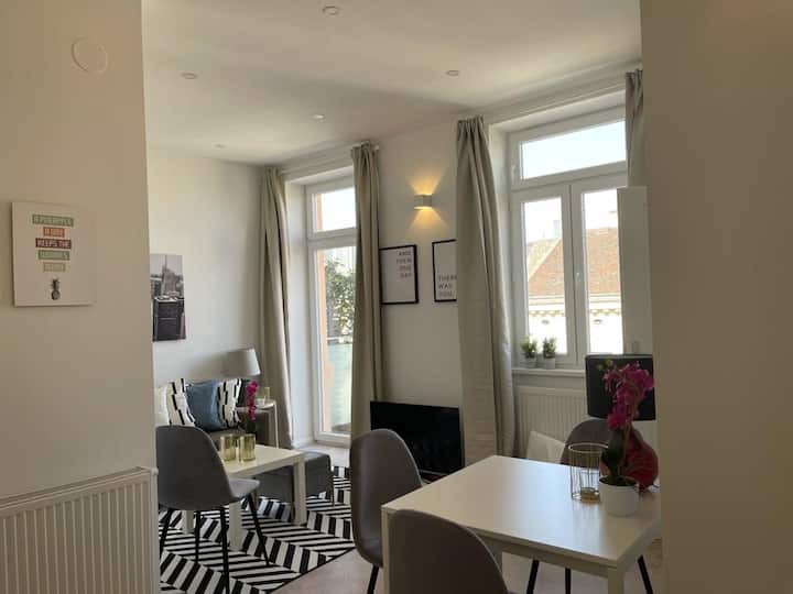 Tolles Neu Renoviertes Apartment Mit Balkon - Vienne