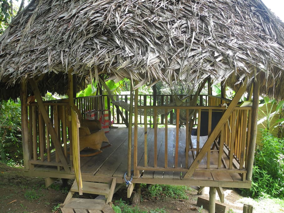 Relaxing area with hammocks!