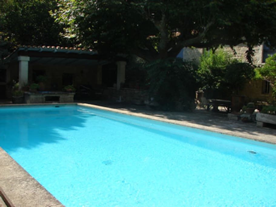 Piscine 12x6m dans jardin