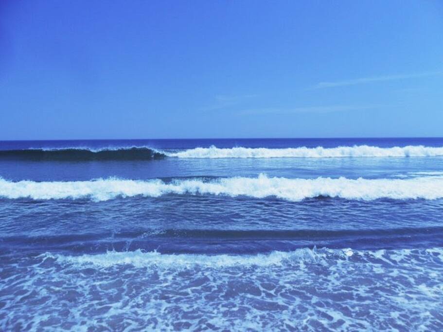 The Bay!!