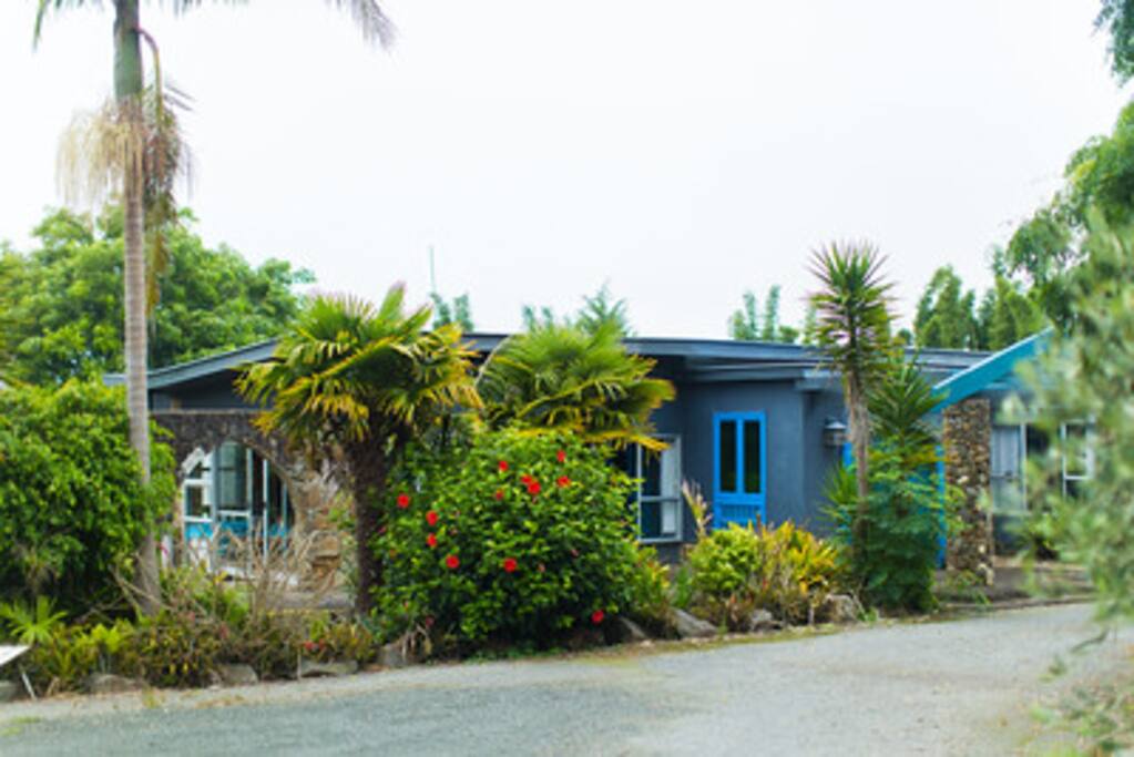 Driveway view