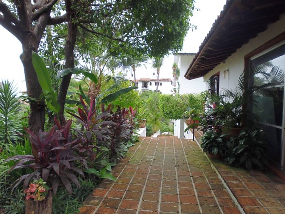 Beatiful Tropical interior Gardens
