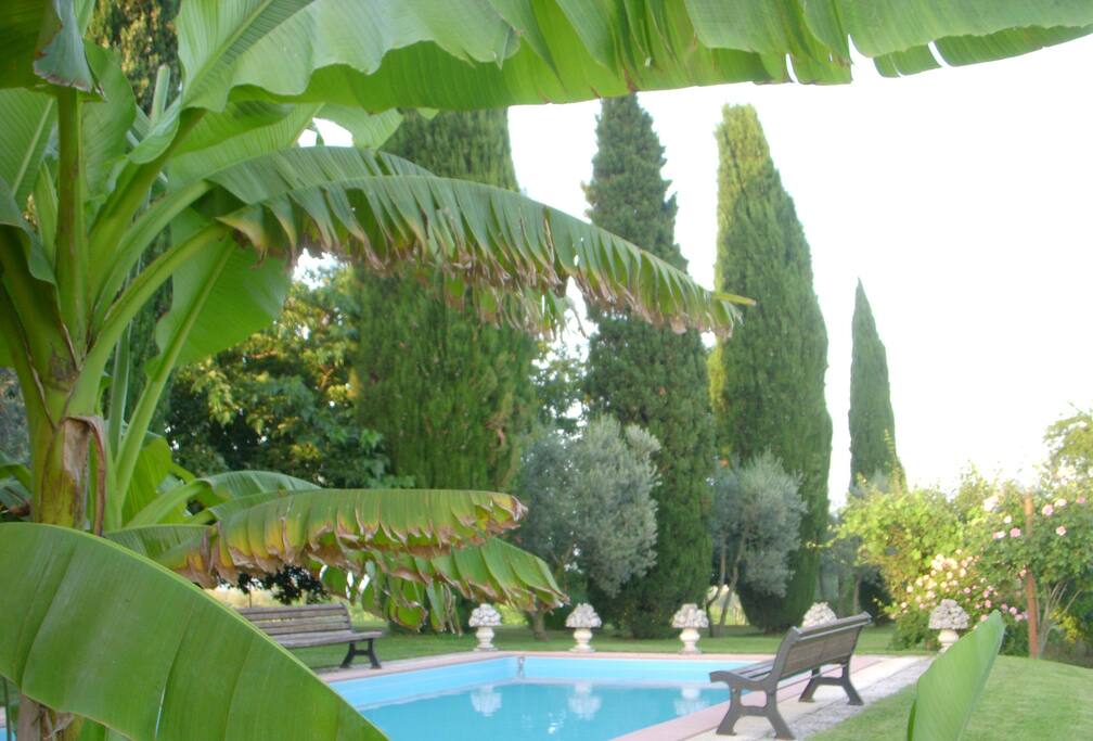 Swimmingpool