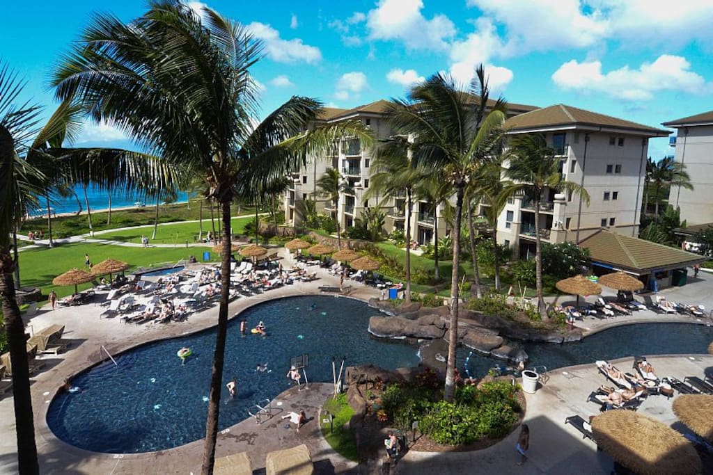 Ocean Front Views