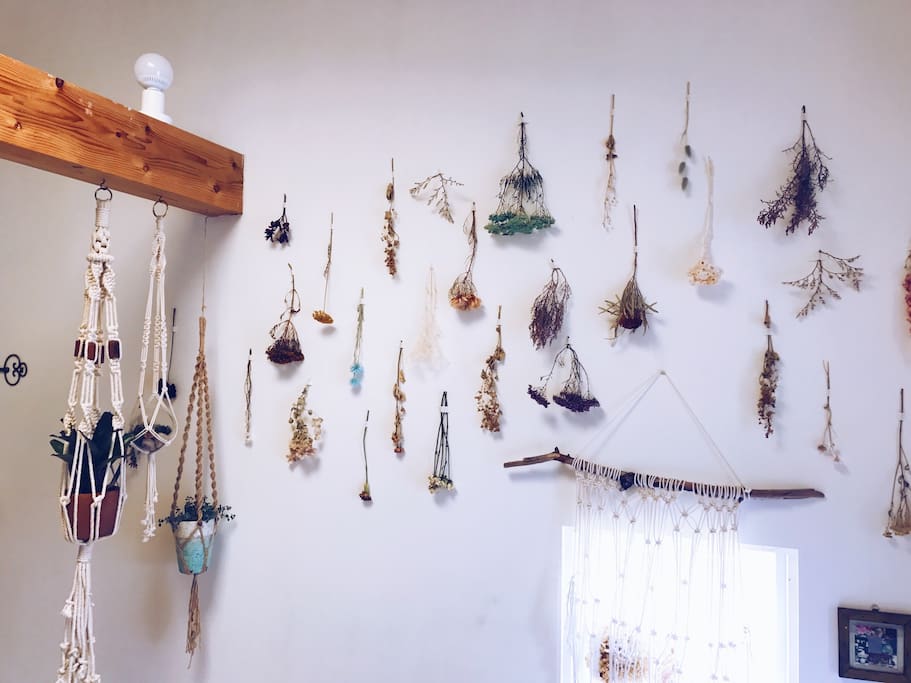 Dried flowers decoration on the wall