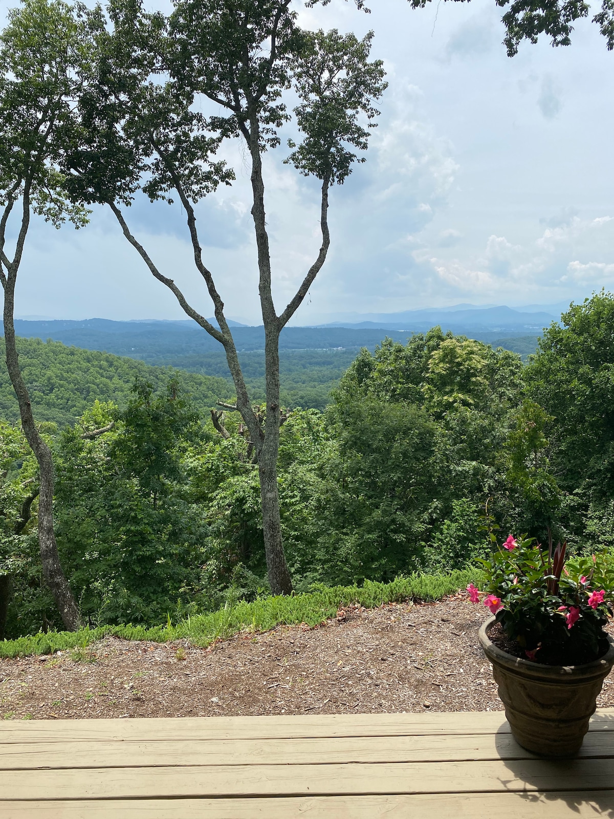 A private deck extends outward, offering a sweeping view of lush green hills and distant mountains under a partly cloudy sky. A potted plant with vibrant pink flowers adds a natural touch to the scene, enhancing the connection to the outdoors.