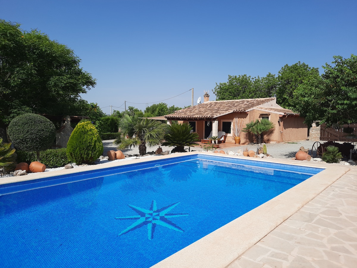 A large swimming pool reflects the clear blue sky, surrounded by greenery and decorative plants. The rustic house can be seen in the background, with an inviting outdoor space featuring stone pathways and landscape elements that enhance the serene environment.