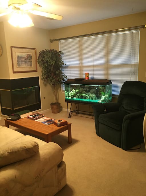 Comfortable Living Room