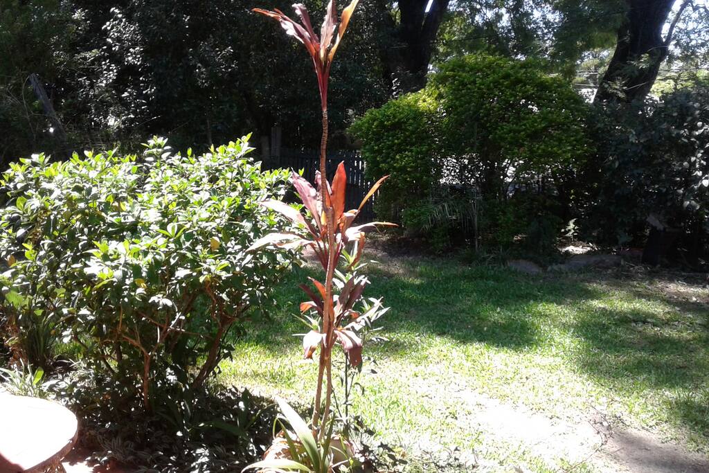 Hermoso jardín que invita al descanso en contacto con la naturaleza