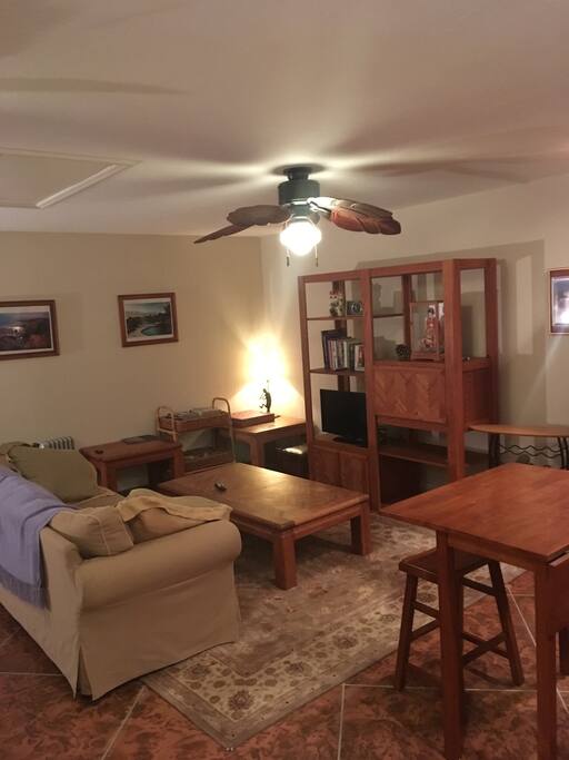 Large living room