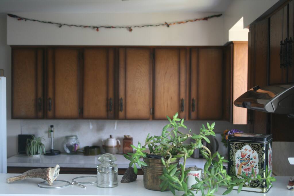 Large Kitchen With Lots of Counter Space