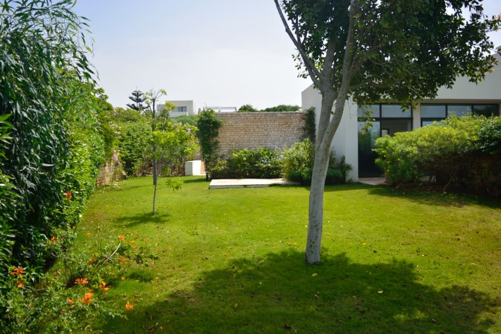 Le jardin coté cuisine