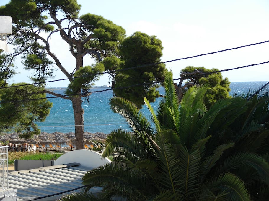 View of the sea from the balcony.