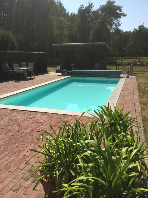 Pool met zicht op paardenweide