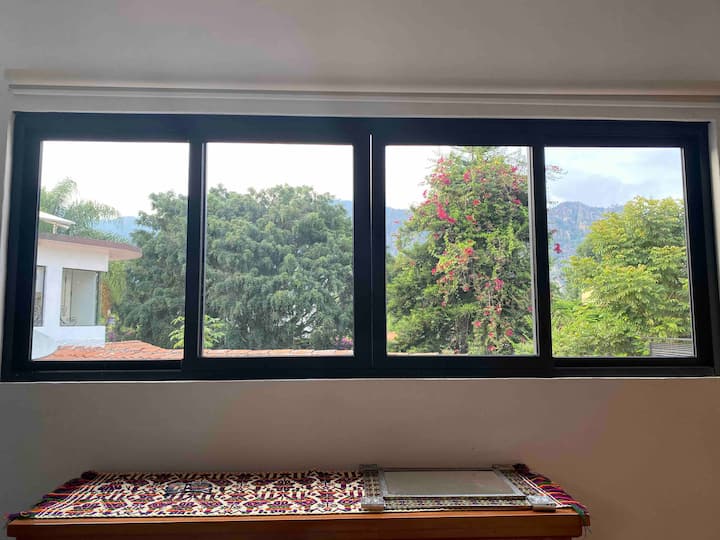 Vista desde el interior. Puro verde. Al fondo el tepozteco. 