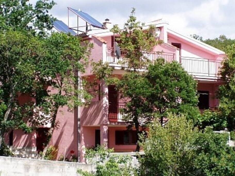 The house