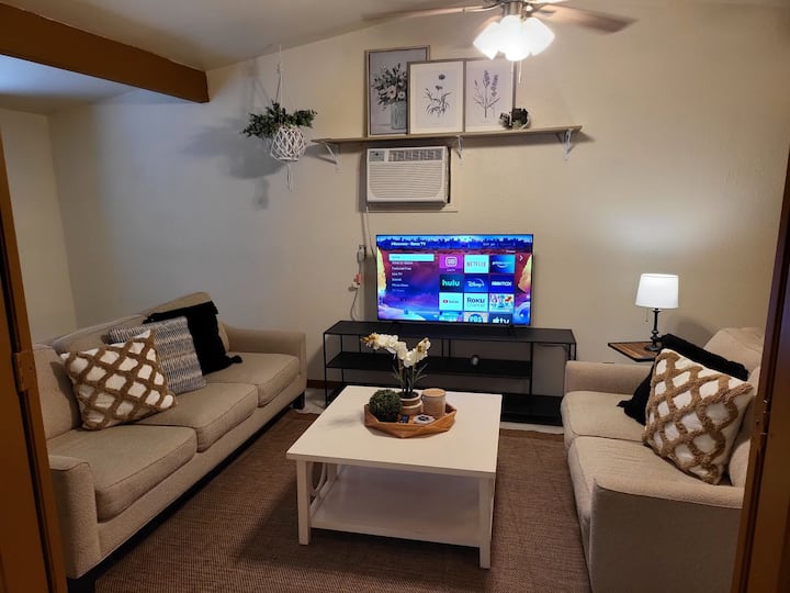 Cozy 2 Bedroom Apartment With 2 Car Parking! - San Antonio, TX