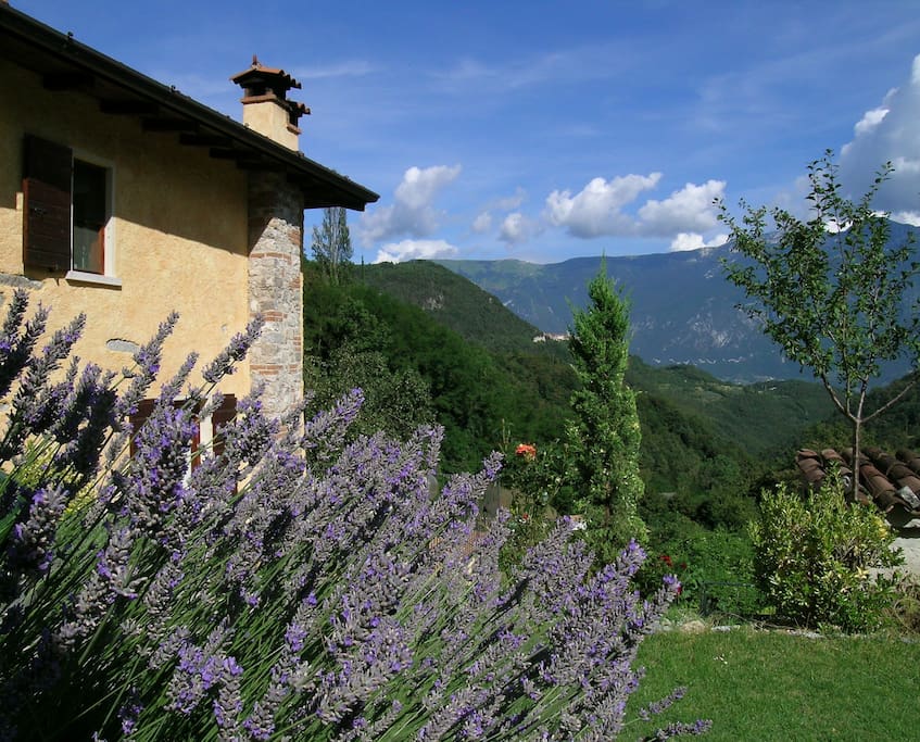 la casa