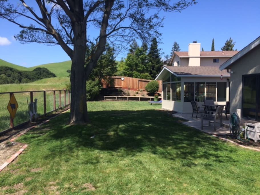 Back yard.