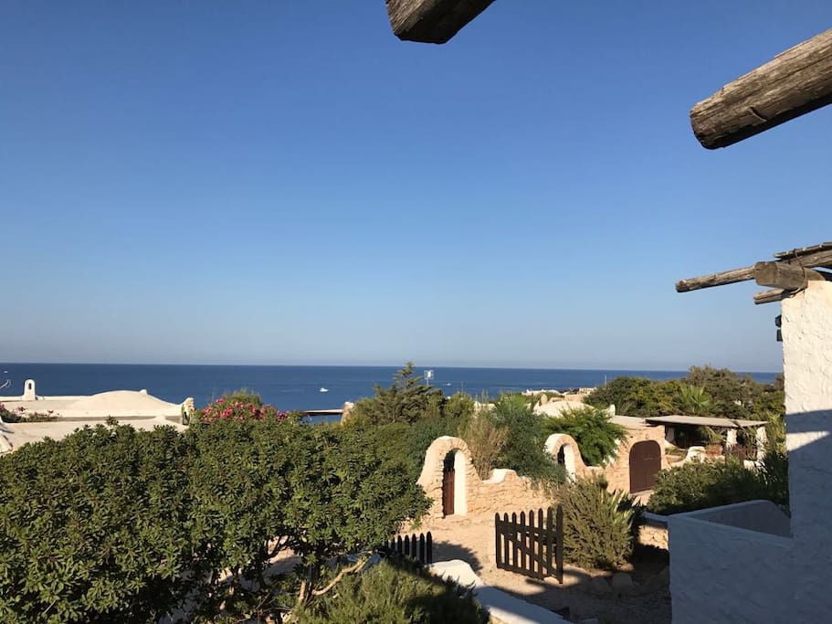 View from the house