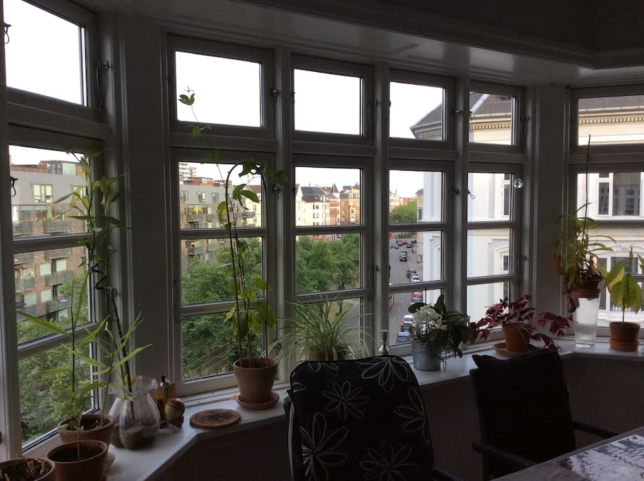 Great light and view when eating