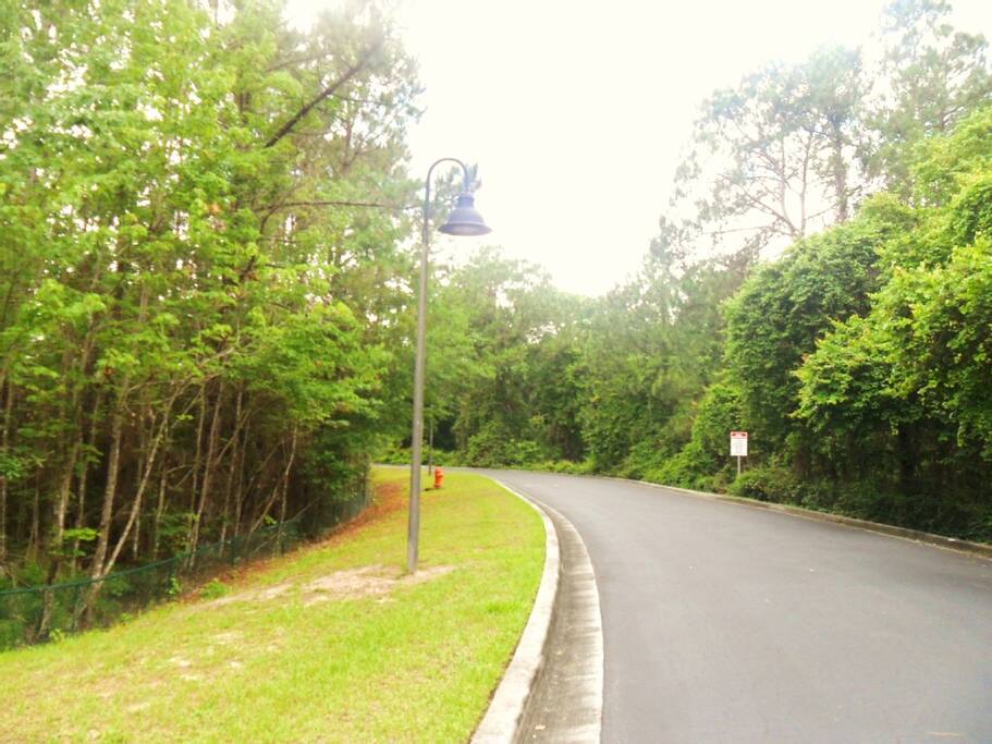 Treefield Reserve is in a 'hidden secret' enclave of just nine homes.
