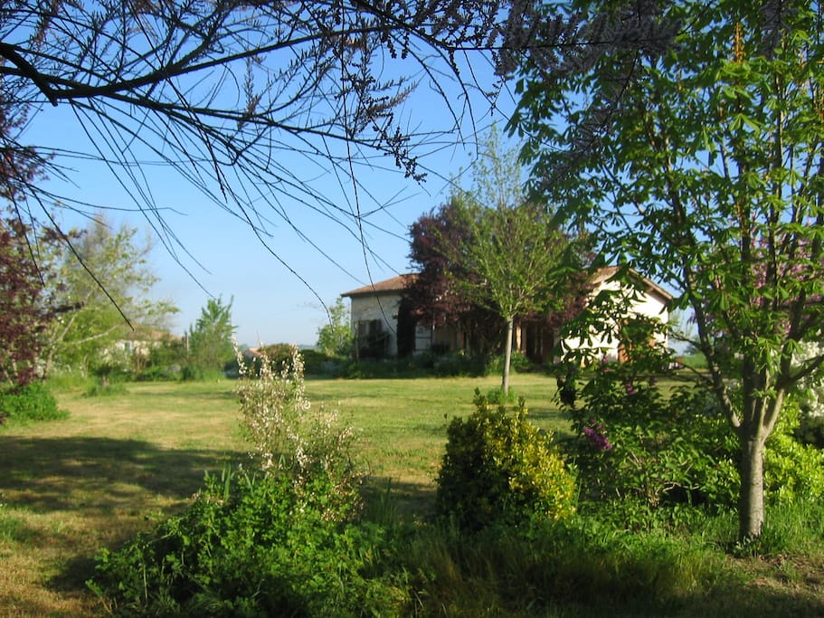 Full view of front lawn