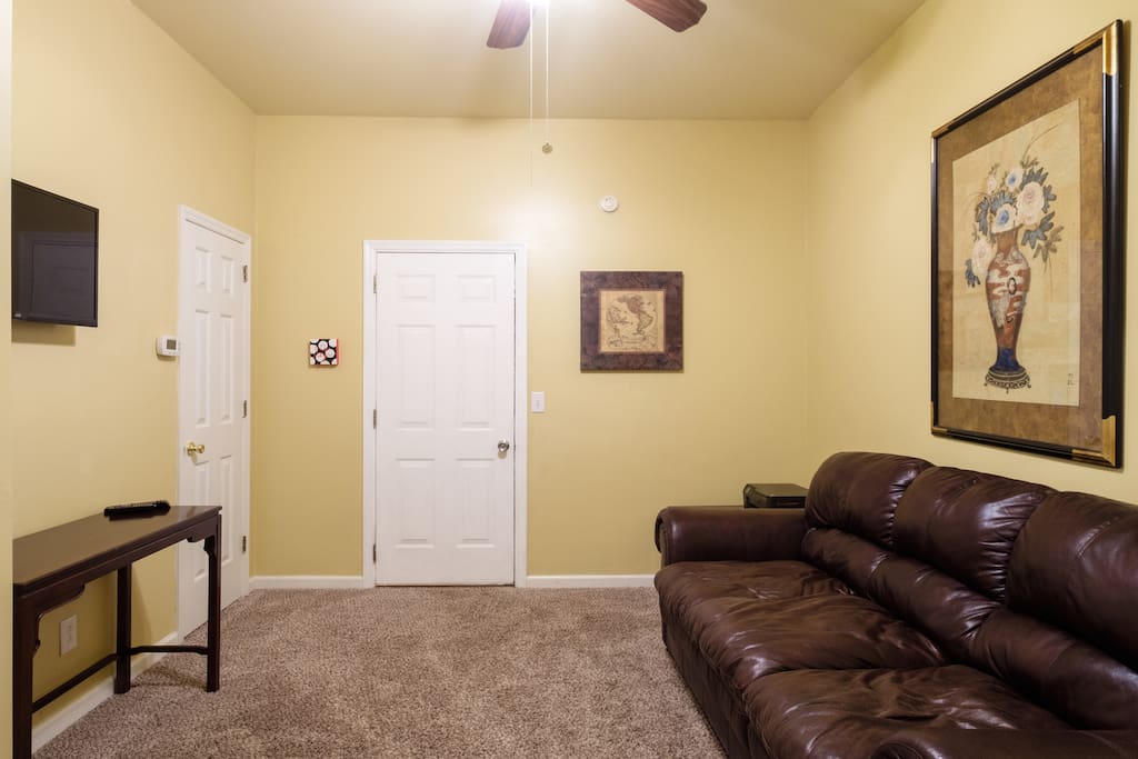 Den with TV