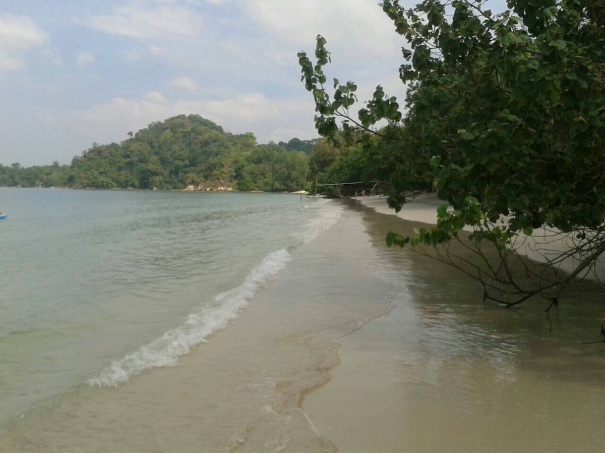 A serene beach scene is displayed, showcasing gentle waves lapping at a sandy shore. Lush greenery borders the beach, and distant hills are visible, contributing to a calm and tranquil environment.