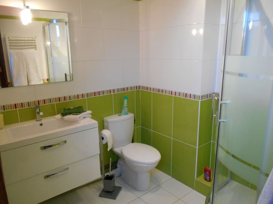 salle de bain avec toilette