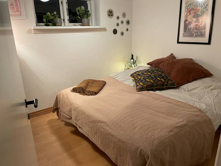 מרתף בחדר שינה/חדר שינה למטה