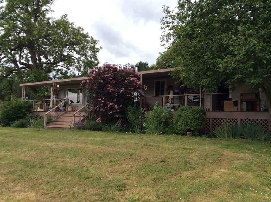 The Home
