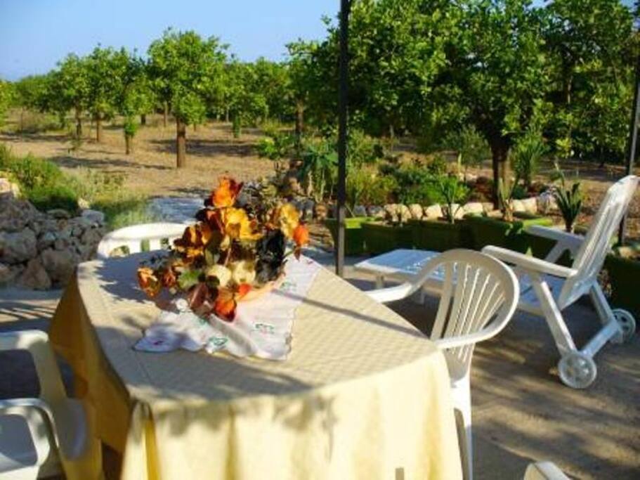 Relax sul limoneto