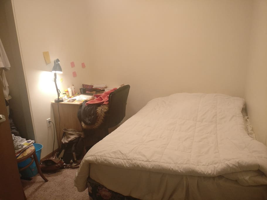 Bedroom (Pardon the stuff on the chair)