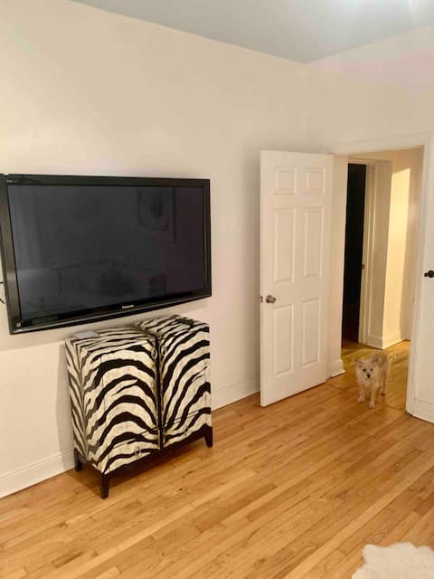 Popular Airbnb listing: Key West in Miami Brickell in Roads