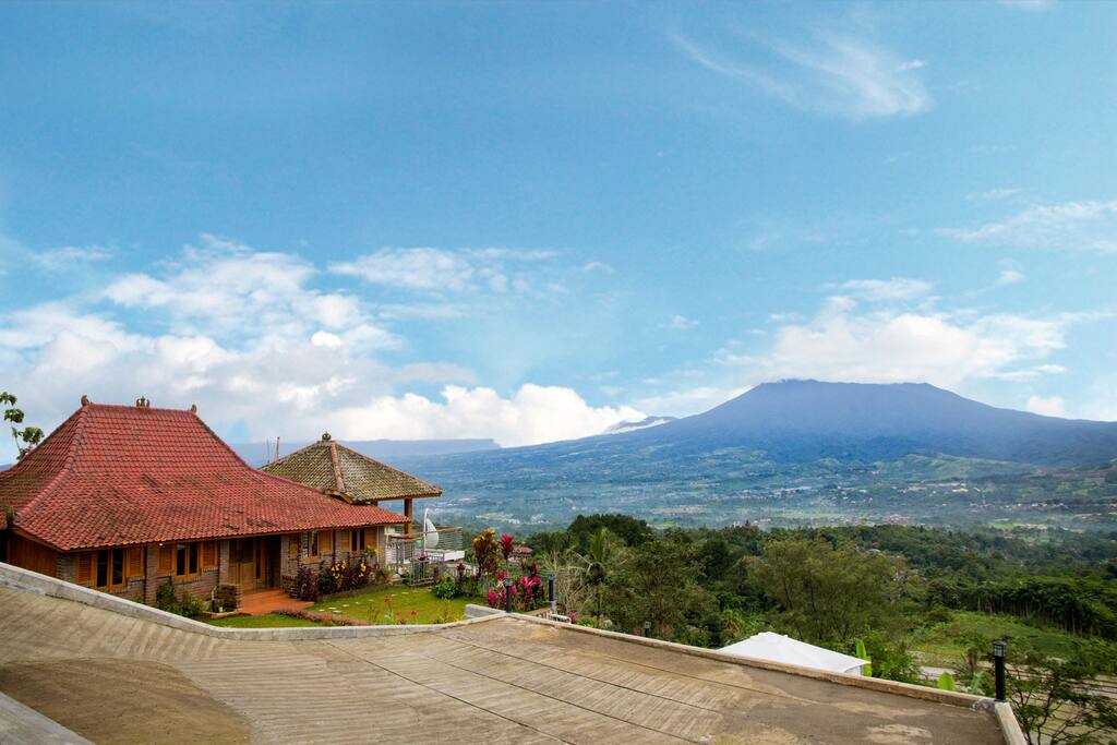 Wonderfull View