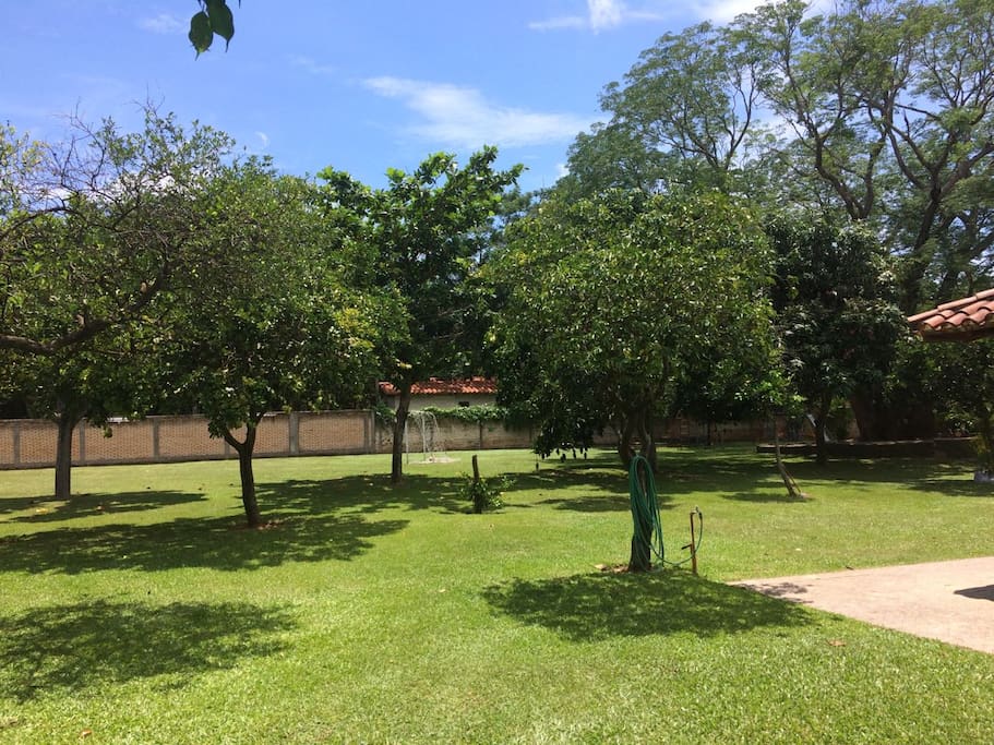 Amplio patio con plantas nativas y frutales
