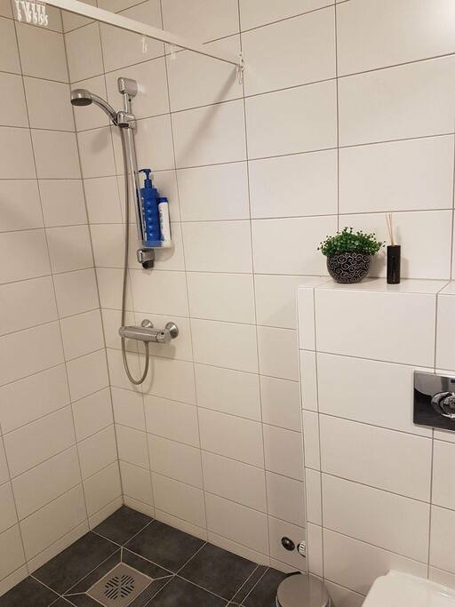 Bad oppe/ Bathroom upstears