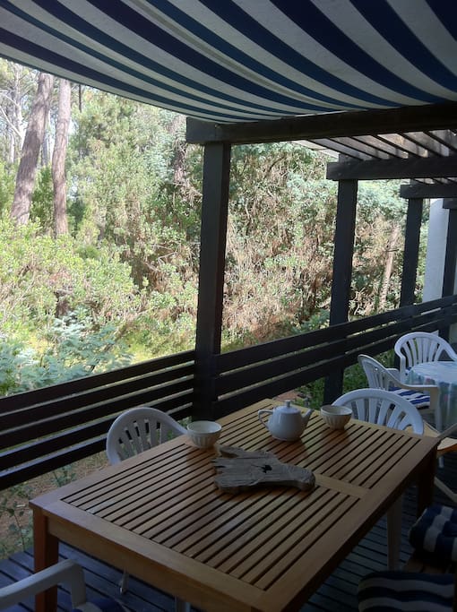 La vue de la terrasse