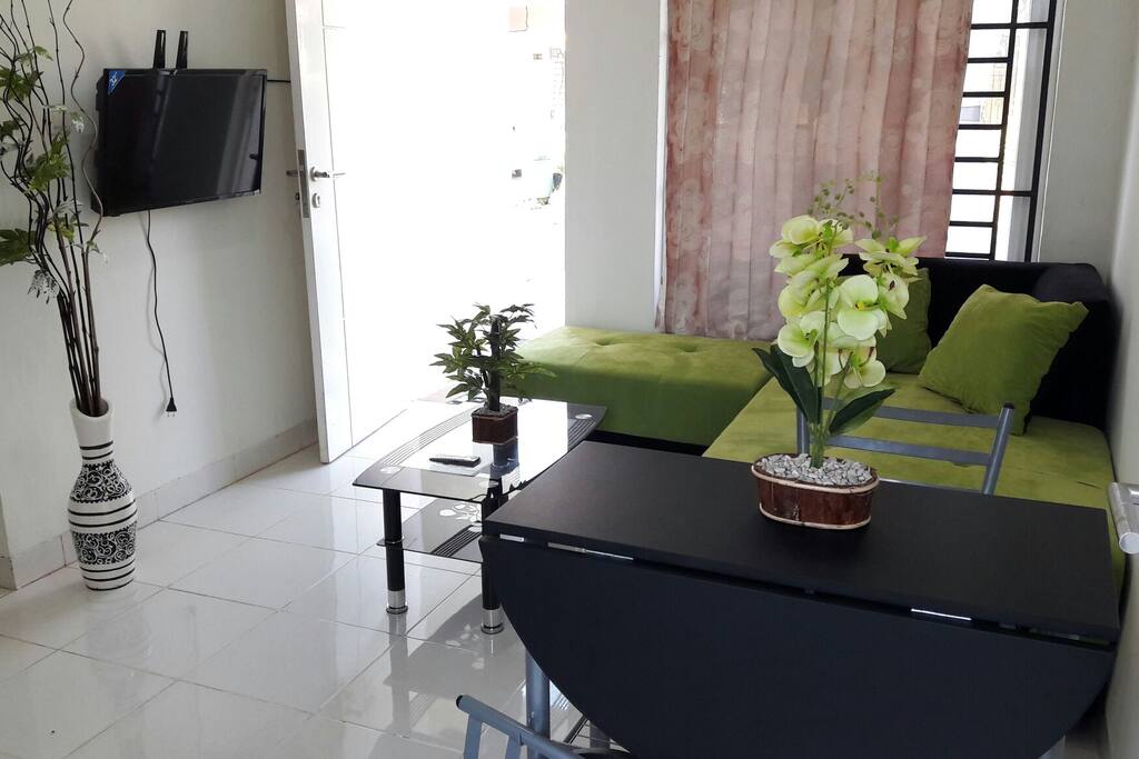 we have a small livingroom with a sofabed and a tv. you can sleep on the sofabed too
