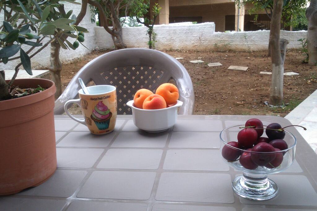 Πρωινό στον κήπο. Breakfast in the garden.